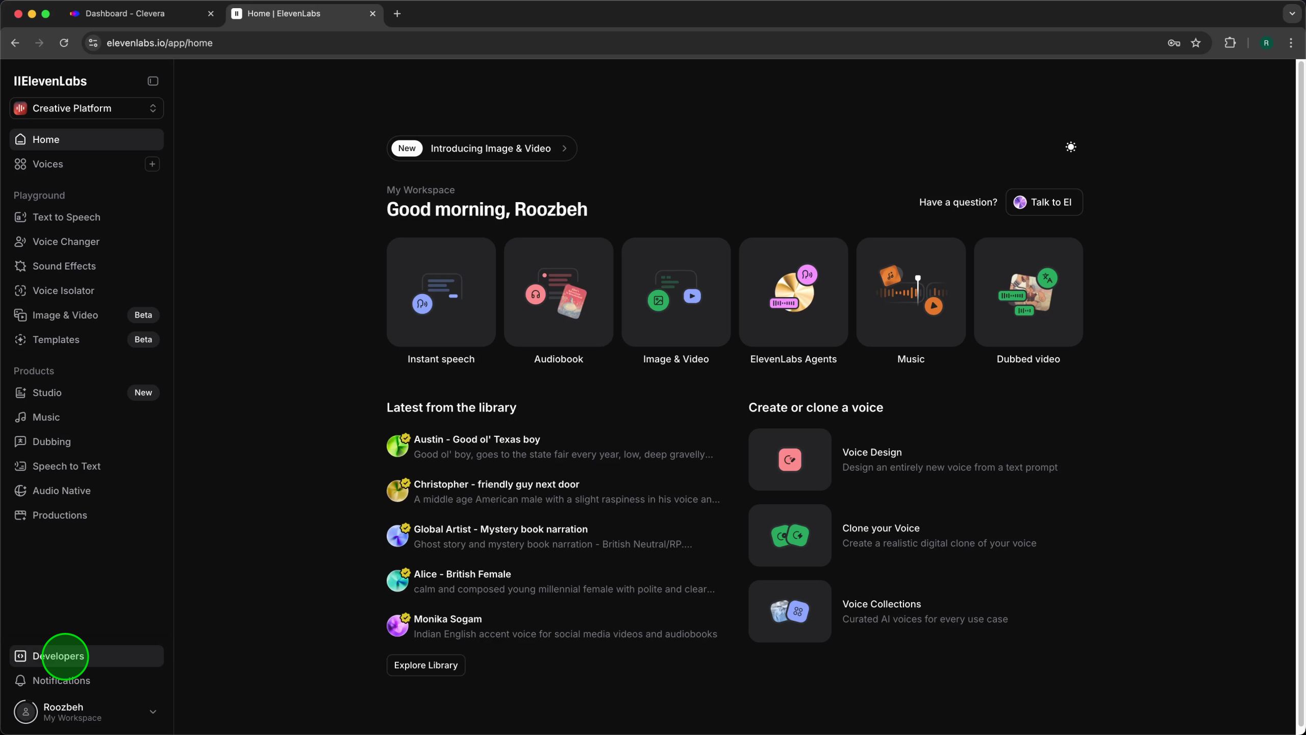 ElevenLabs dashboard with the 'Developers' link highlighted in the left navigation